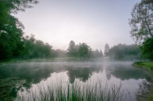 Scenery on an outdoor family photo shoot