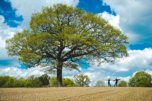 Couple dancing under an oak tree in the middle of an empty field