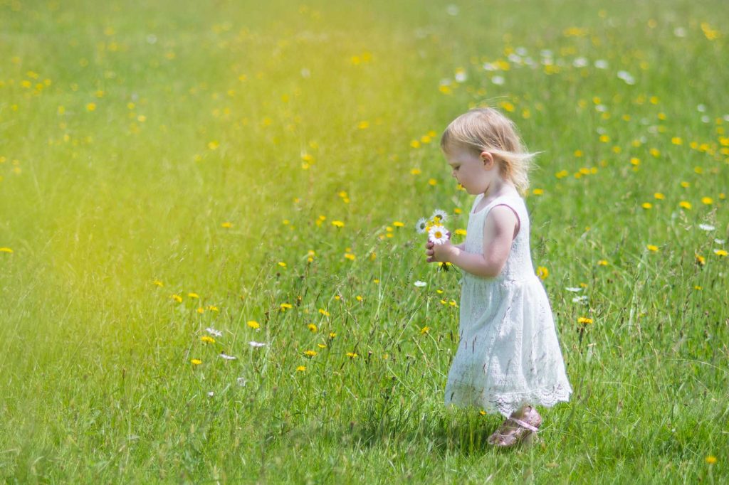 Little girl walking in a wild meadow holding a bunch of wild flowers