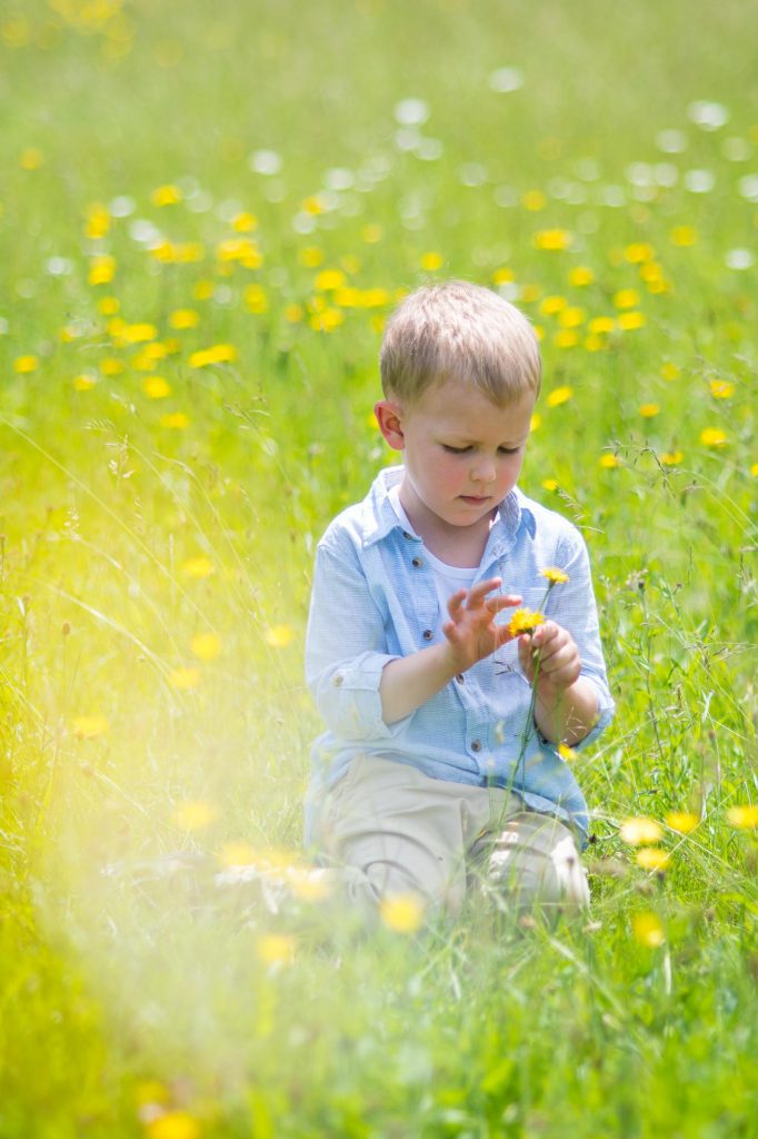 Young boy picking flowers in a wild meadow