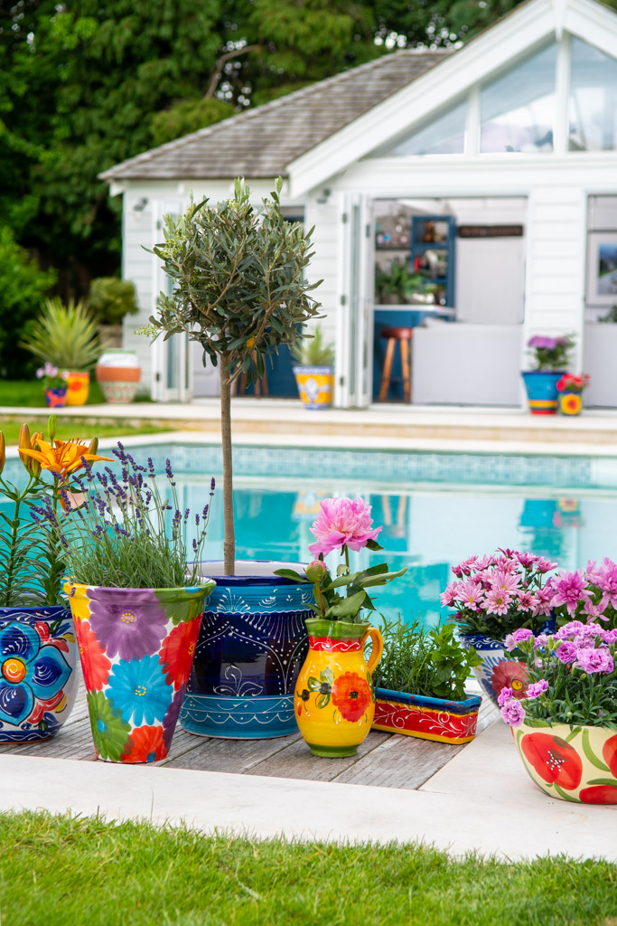 A commercial photo for a plant pot wholesaler