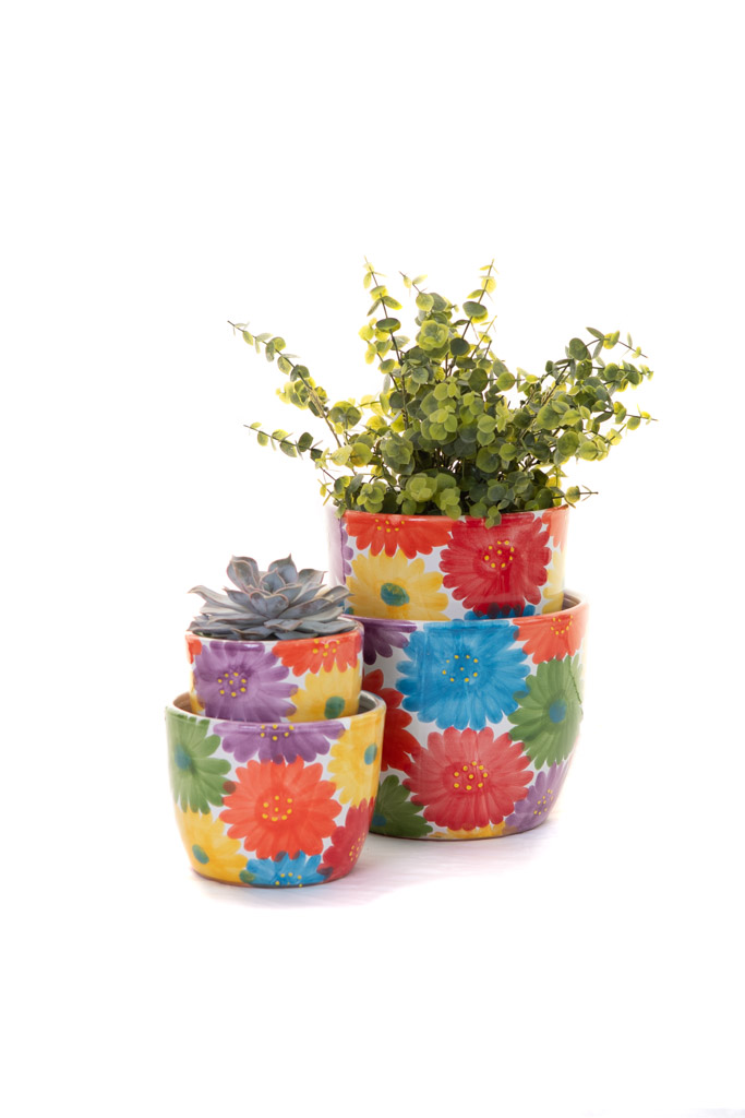 A product photo to be used in online advertising and mail shots showing off the company's product