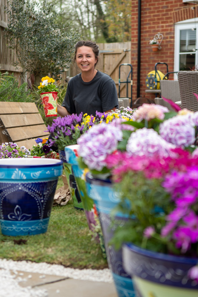 Advertising and product photo for a garden wholesaler