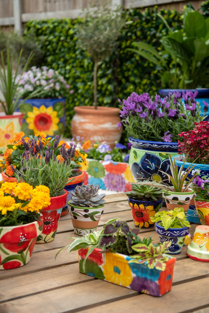 Product photo showing off a broad spectrum of garden planters