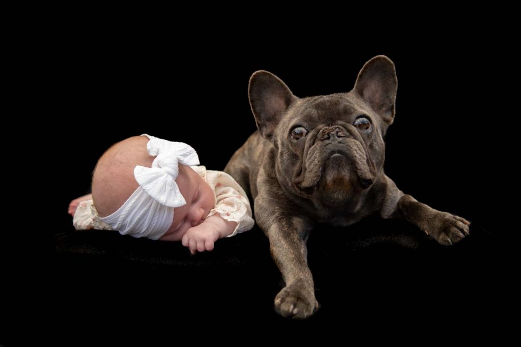Baby and French bulldog