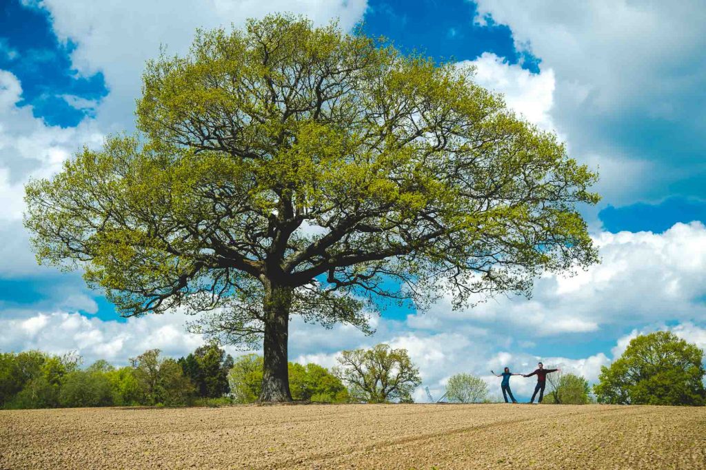 Couple dancing under an oak tree in the middle of an empty field