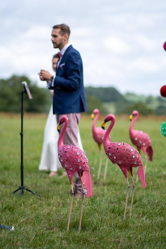 A flock of flamingos watching over the wedding ceremony