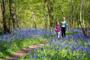 two young girls walking through a bluebell wood