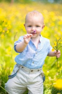Toddler smelling a flower on a Wild Flower Meadow Photo Shoot