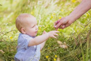 Toddler receiving a posy of buttercups on a Wild Flower Meadow Photo Shoot
