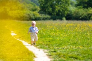 Toddler walking along the path surrounded by buttercups on a Wild Flower Meadow Photo Shoot