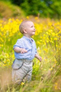 Young boy in a wildflower meadow on a family portrait photo shoot