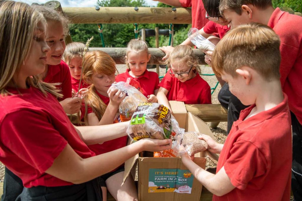 School children looking at a range of Warburtons products in a box supplied by Farm in Box