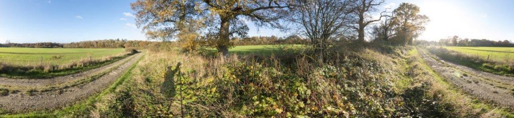 Visual Impact Photograph of a plot of land earmarked for develoment